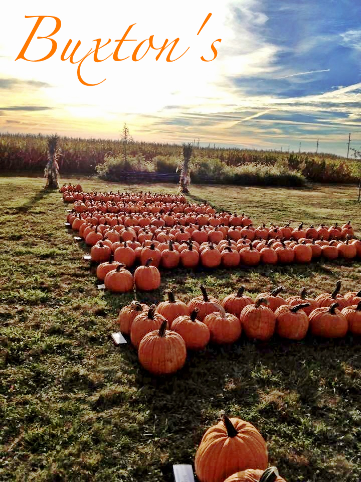 Buxton's Garden Farm & Flower Shop